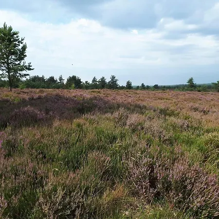 Дом отдыха 5 Person In Hovborg-by Traum