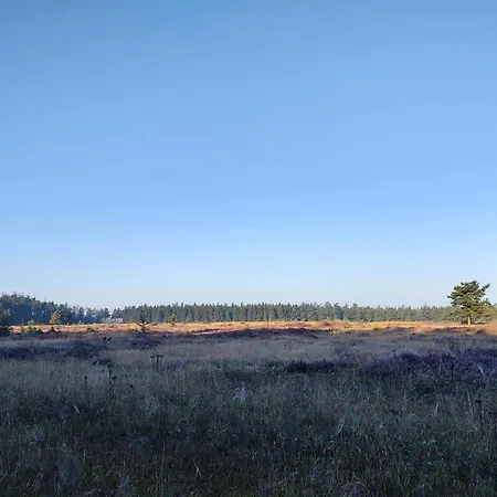 Дом отдыха 5 Person In Hovborg-by Traum *