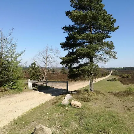 Feriehus 5 Person In Hovborg-by Traum *